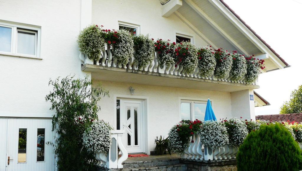 Ranch Terra Hotel Irinovac Ngoại thất bức ảnh
