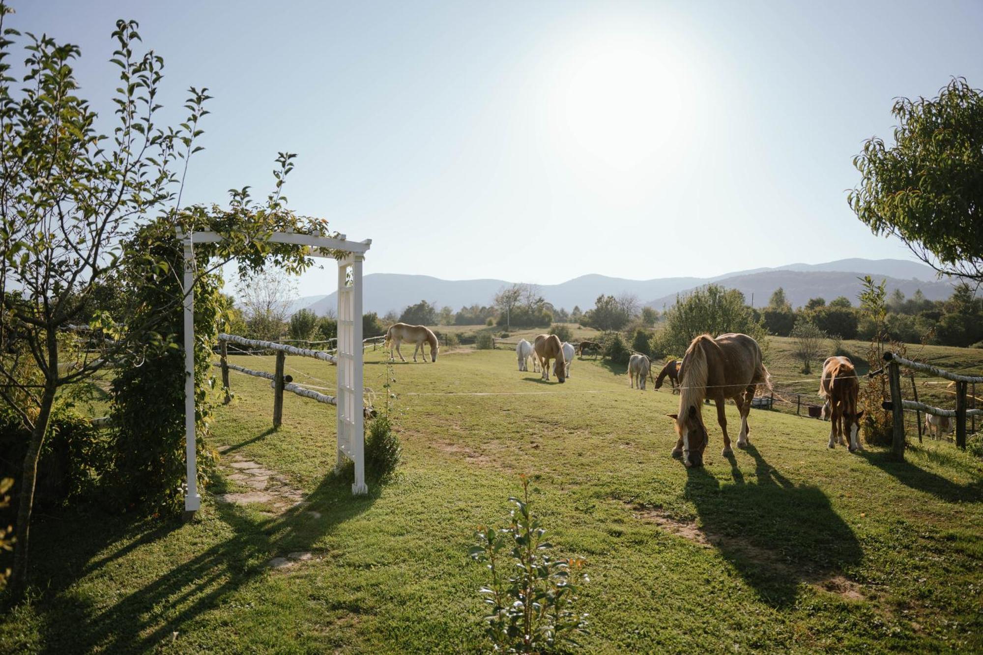Ranch Terra Hotel Irinovac Ngoại thất bức ảnh