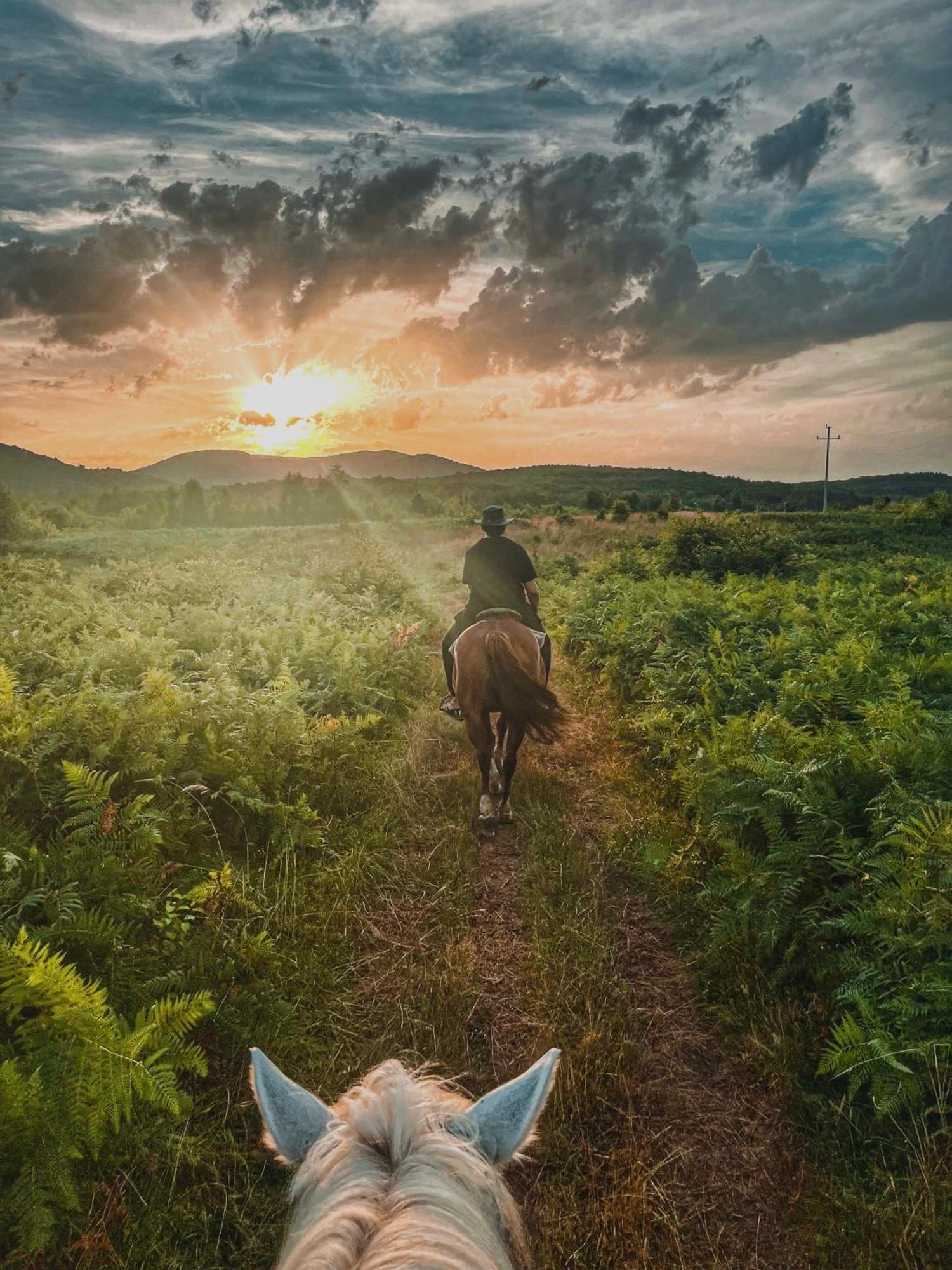 Ranch Terra Hotel Irinovac Ngoại thất bức ảnh