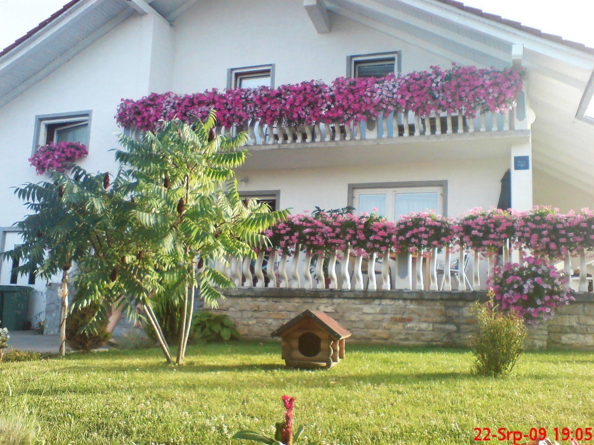 Ranch Terra Hotel Irinovac Ngoại thất bức ảnh