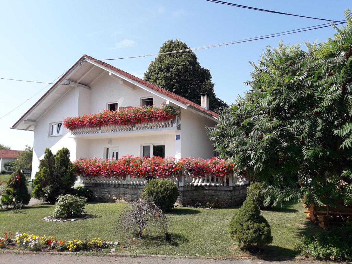 Ranch Terra Hotel Irinovac Ngoại thất bức ảnh