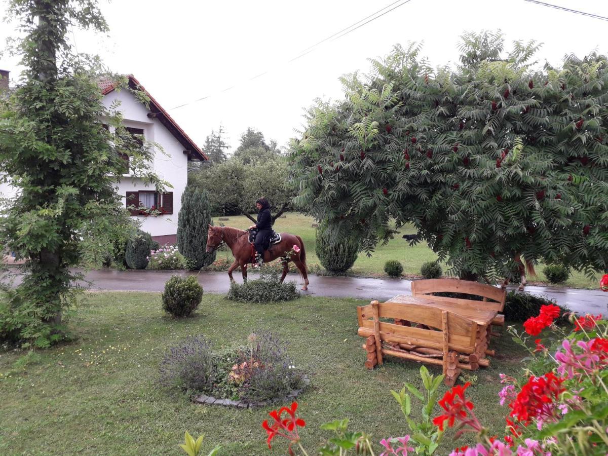 Ranch Terra Hotel Irinovac Ngoại thất bức ảnh